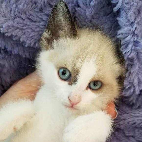 Meet your Posher, Caryn - Picture 1 of 1